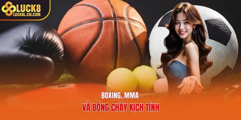 Boxing, MMA và bóng chày kịch tính