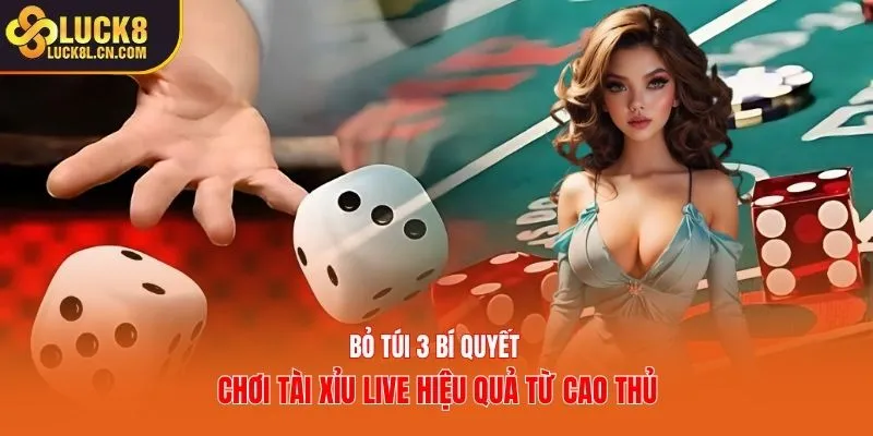 Bỏ túi 3 bí quyết chơi tài xỉu live hiệu quả từ cao thủ