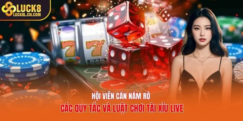Hội viên cần nắm rõ các quy tắc và luật chơi tài xỉu live